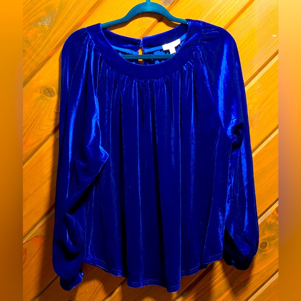 Umgee Cobalt Blue Velvet Top (NWT)